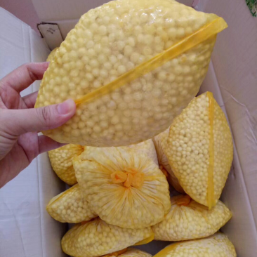 精品鲜芡实，东凤镇下张土特产