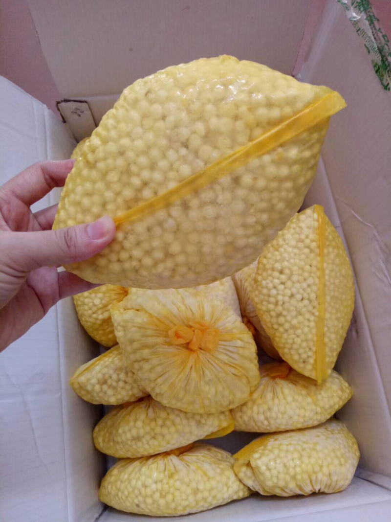 精品鲜芡实，东凤镇下张土特产