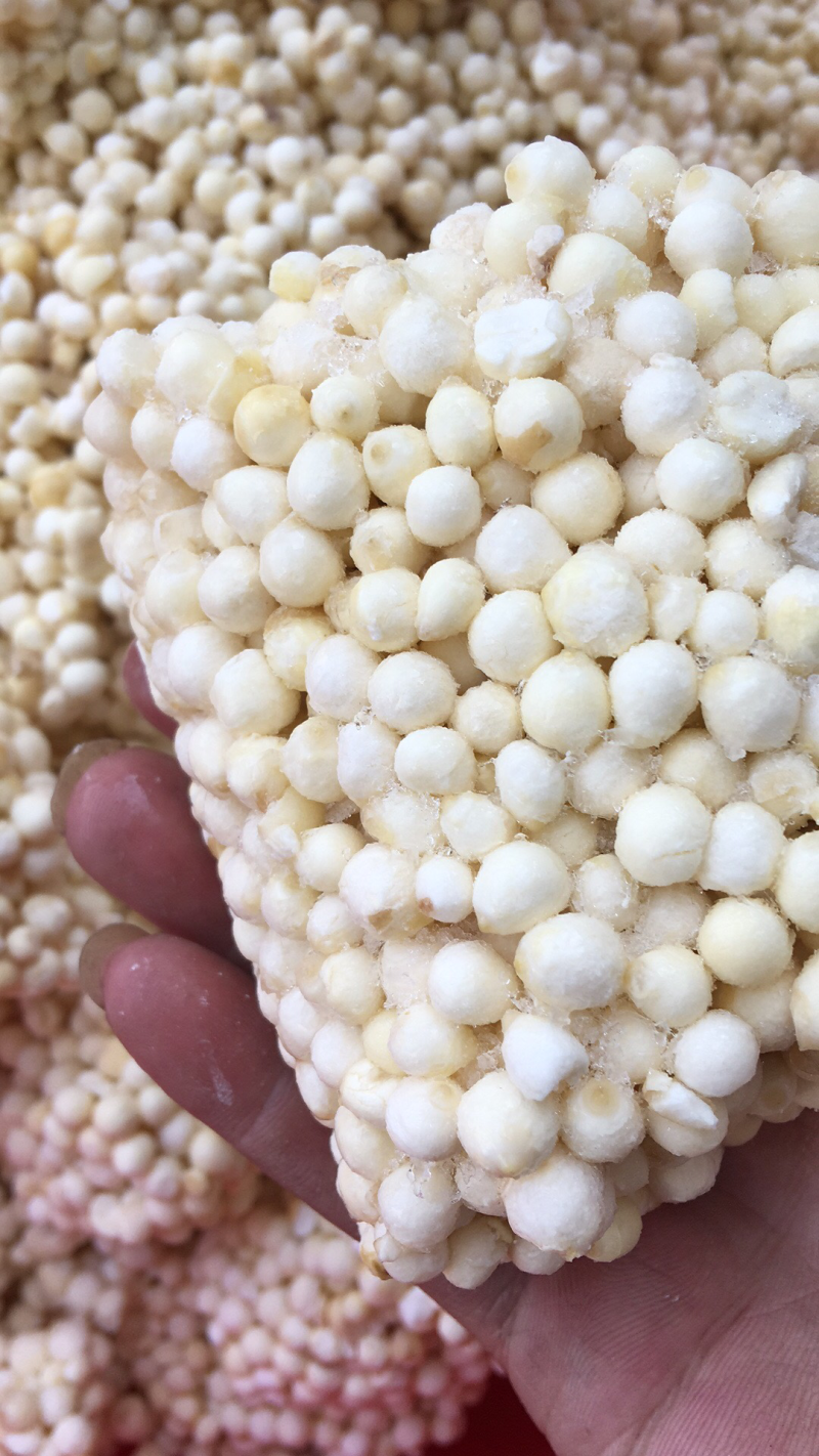 精品鲜芡实，东凤镇下张土特产