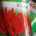辣椒种子批发价质量保证，良心说过