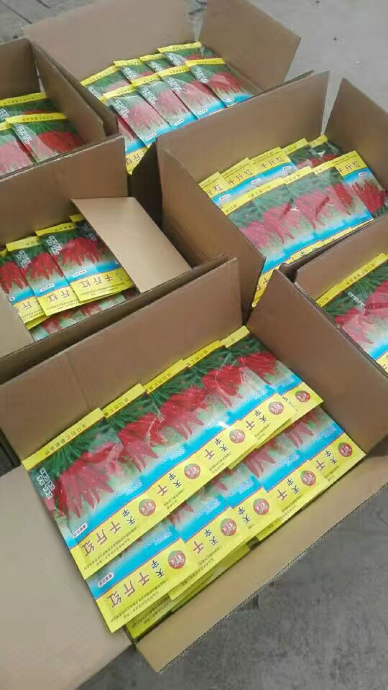 辣椒种子批发价质量保证，良心说过
