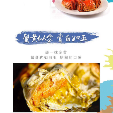 正宗阳澄湖大闸蟹母蟹3两