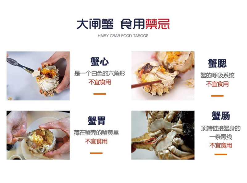正宗阳澄湖大闸蟹母蟹3两