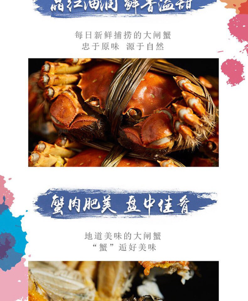 正宗阳澄湖大闸蟹母蟹3两