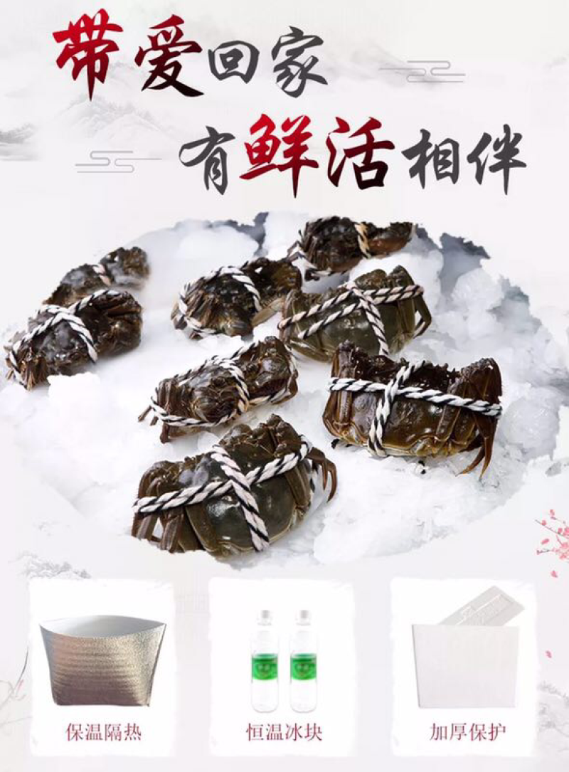 正宗阳澄湖大闸蟹公蟹2.5两