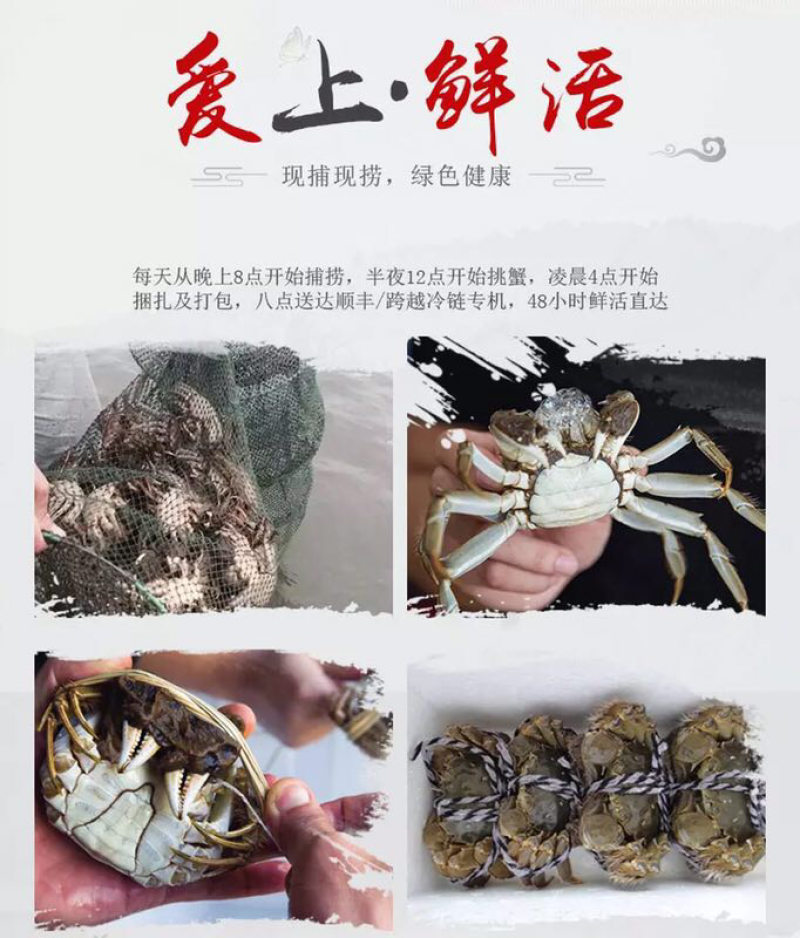 正宗阳澄湖大闸蟹公蟹2.5两
