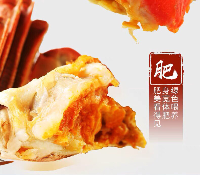 正宗阳澄湖大闸蟹