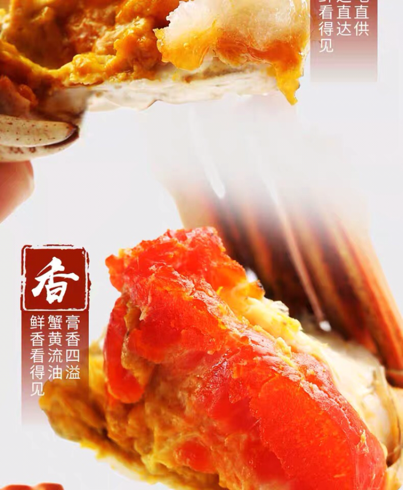 正宗阳澄湖大闸蟹