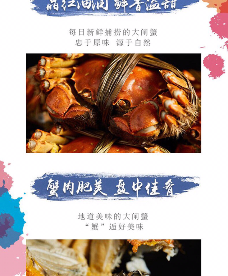 正宗阳澄湖大闸蟹