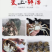正宗阳澄湖大闸蟹公＋母