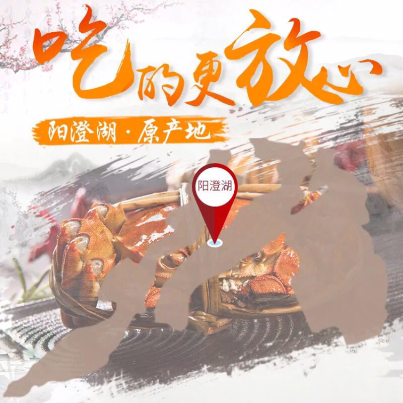 正宗阳澄湖大闸蟹公＋母