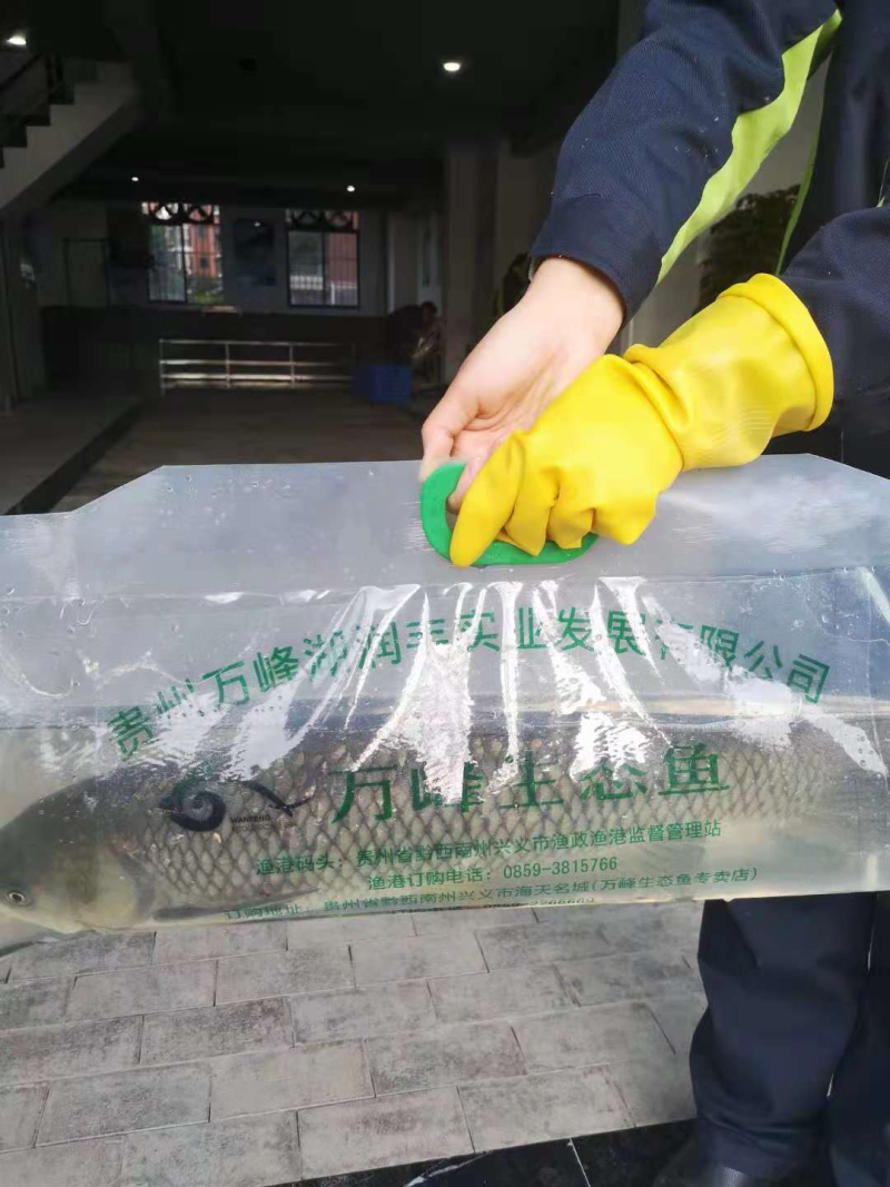 “万峰生态草鱼”，不投放任何饲料，电话联系
