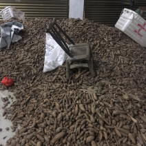 白蔹鲜货，干片供应大货，