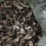 白蔹鲜货，干片供应大货，