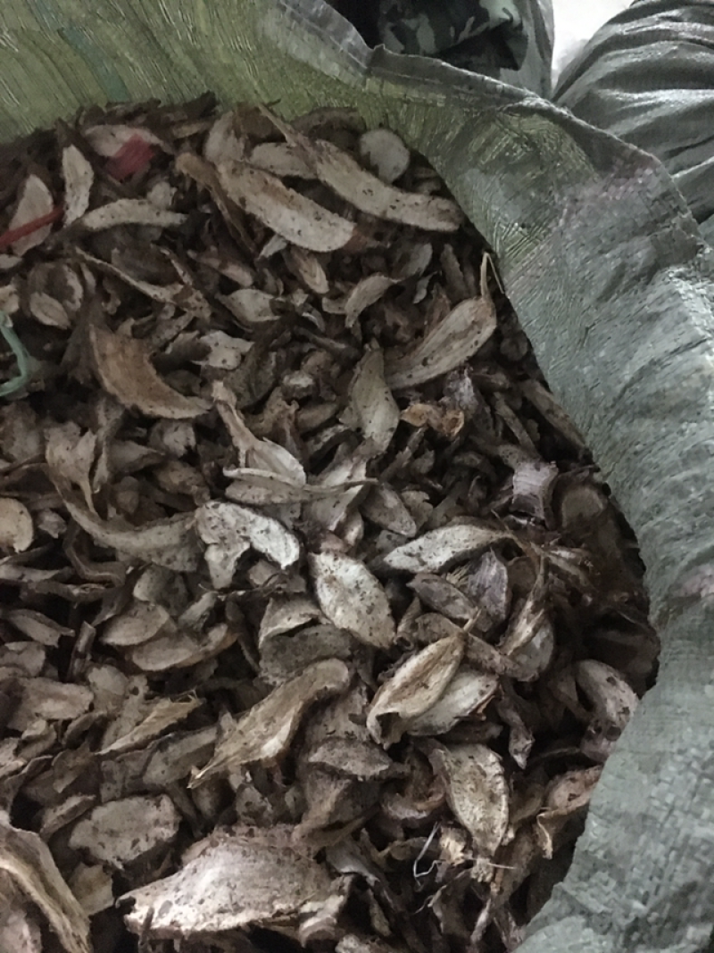 白蔹鲜货，干片供应大货，