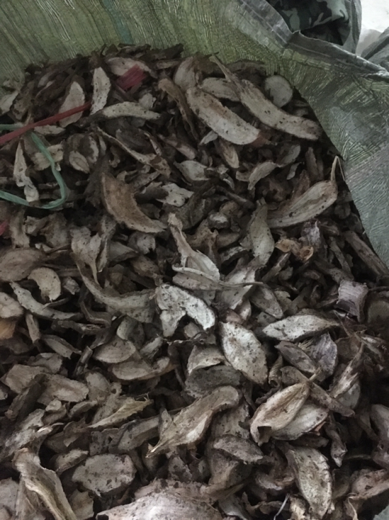 白蔹鲜货，干片供应大货，