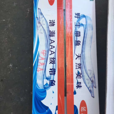 渤海湾刀鱼一盒十斤