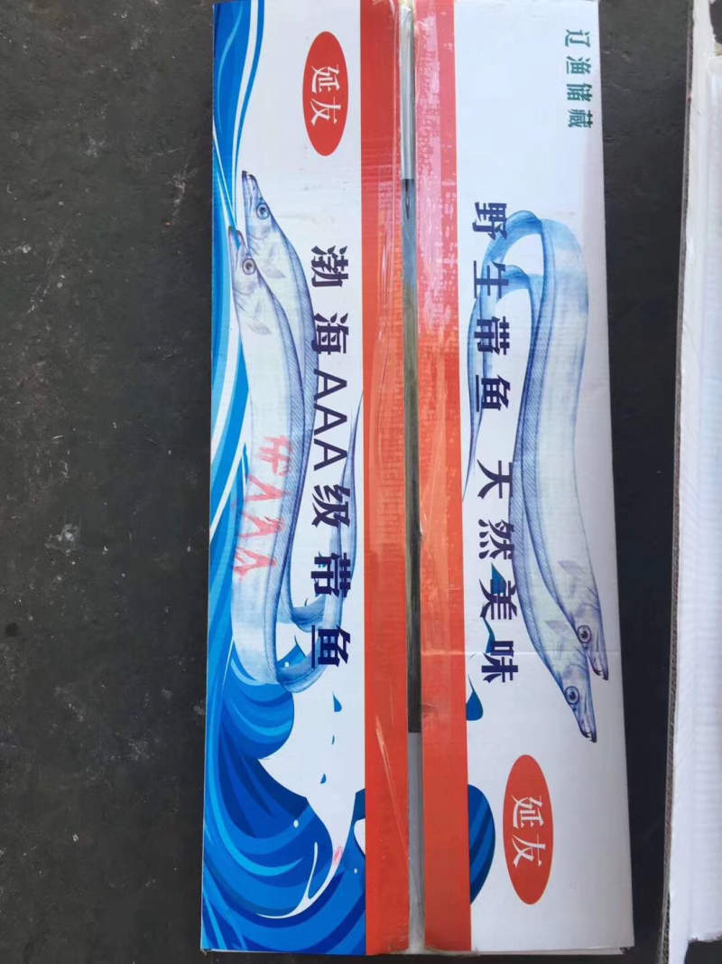 渤海湾刀鱼一盒十斤