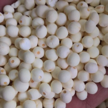 东凤镇下张特选精品干芡实