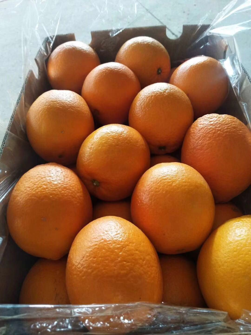 赣南脐橙，新鲜水果，电商，微商，批发商，一件代发