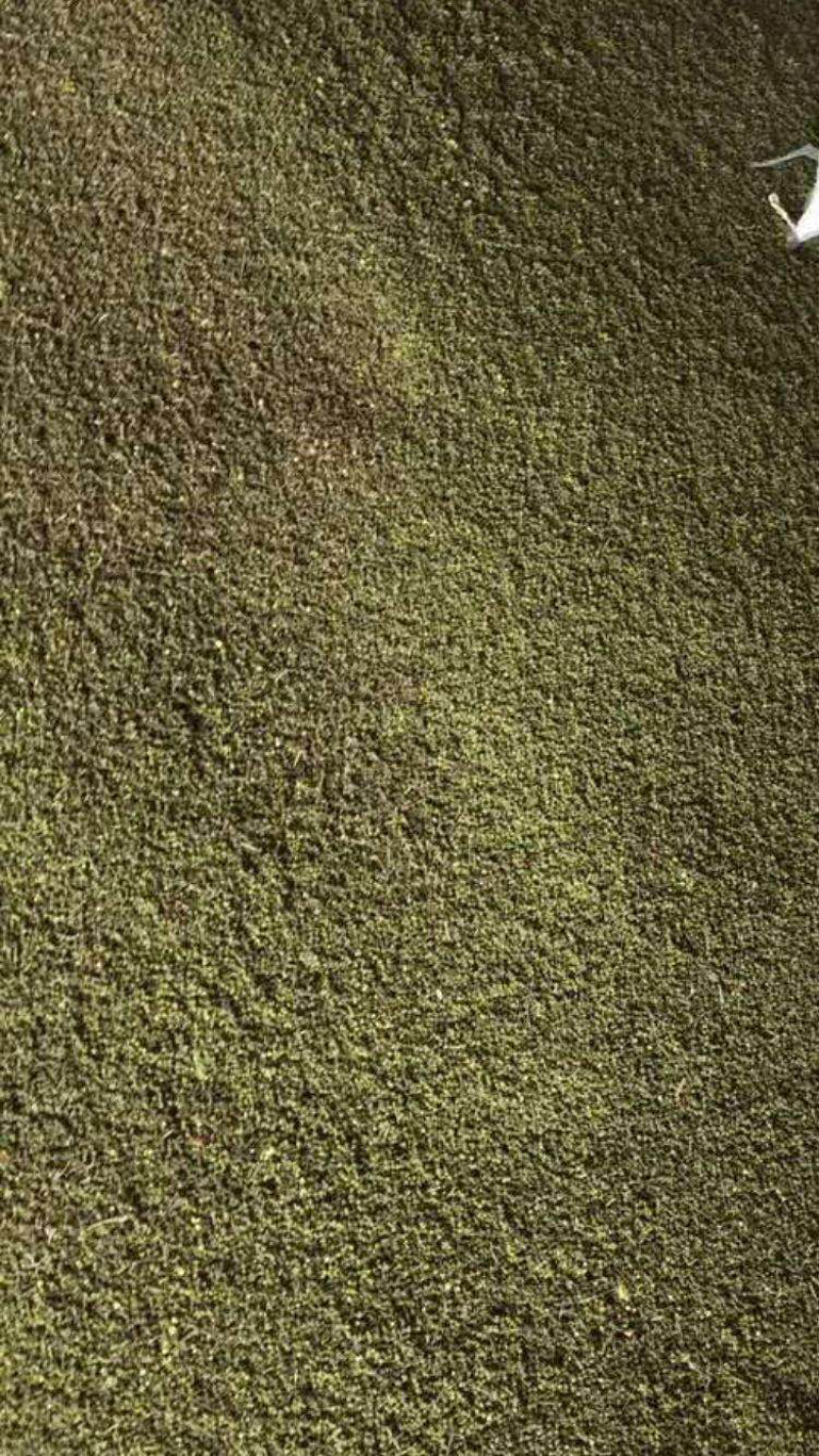 标准中花吴茱萸高含量颗粒