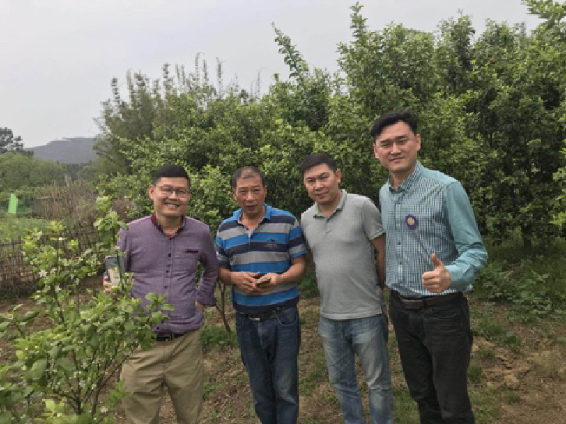 植保，疾控，病毒，病害，柑橘，沙糖桔，脐橙，皇帝柑，橘红