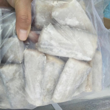 刀鱼段