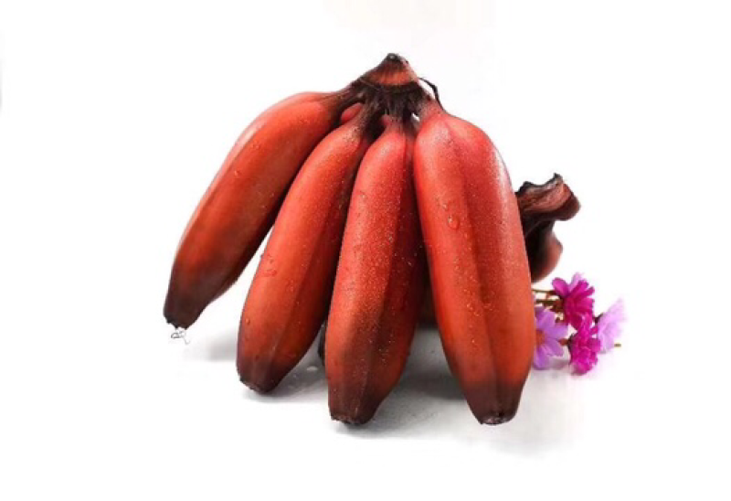 红香蕉