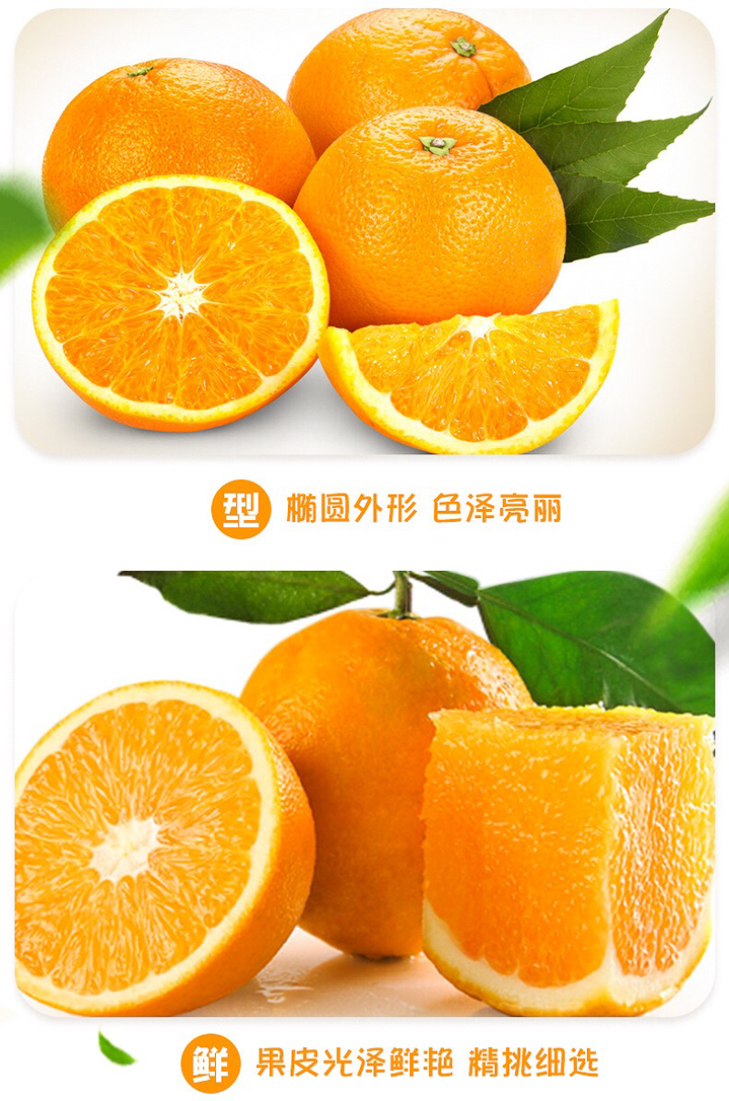 雷波橘橙很好吃的橙子大凉山特色