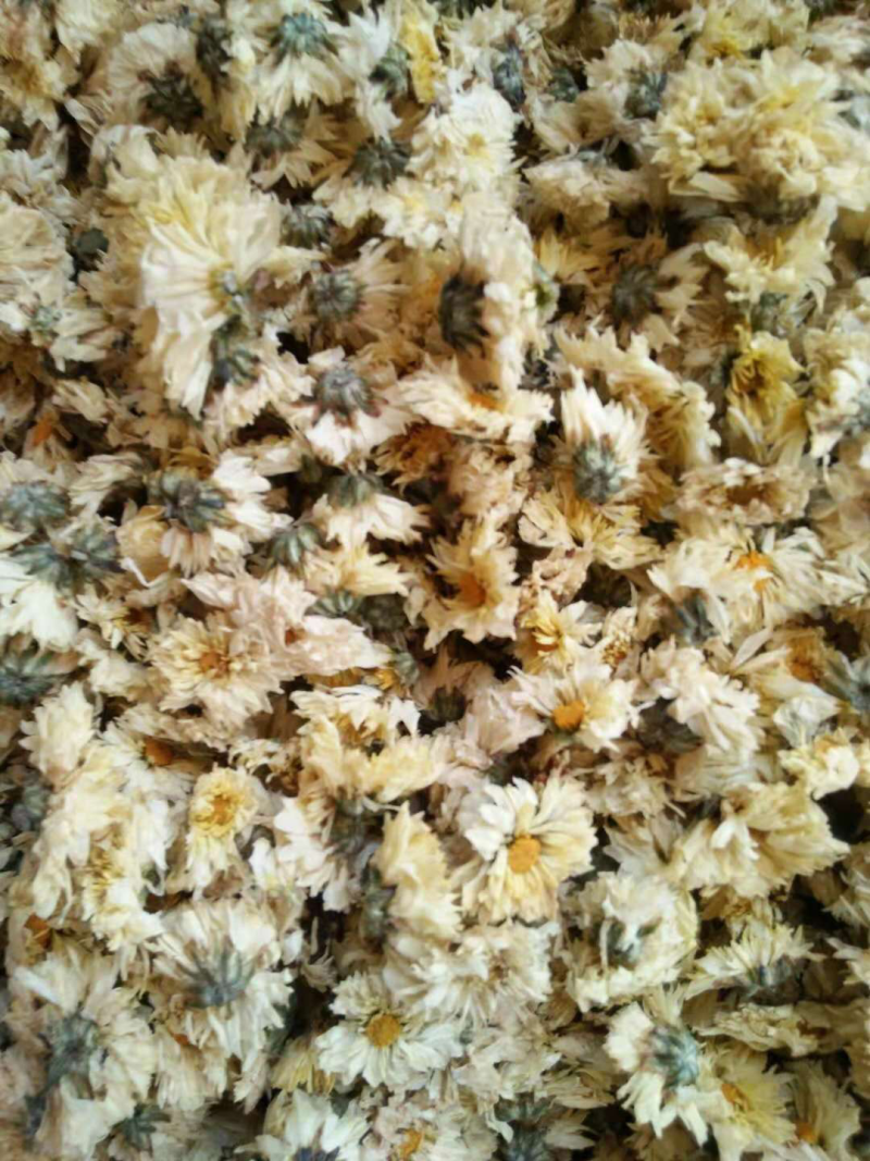菊花，七月菊优质货无硫正宗新货是你泡茶保健之佳品包邮