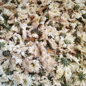 菊花,七月菊优质货无硫正宗新货是你泡茶保健之佳品包邮