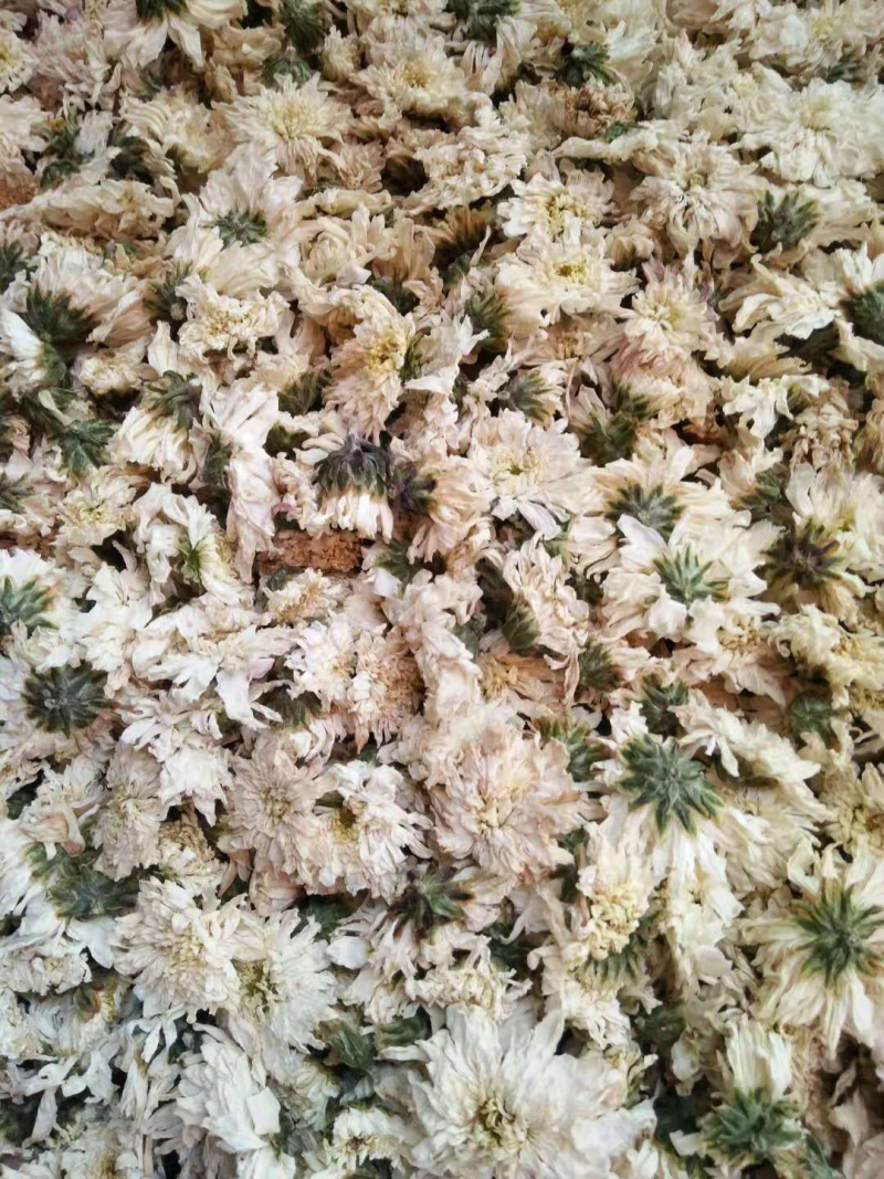 菊花，七月菊优质货无硫正宗新货是你泡茶保健之佳品包邮
