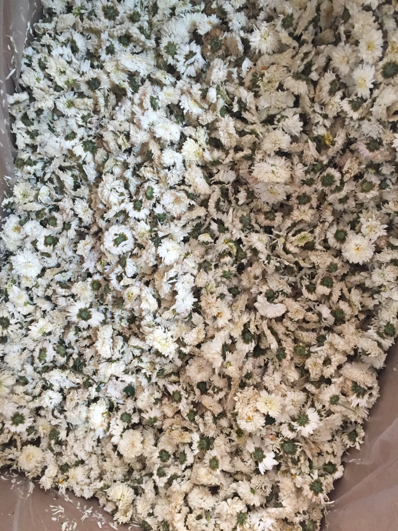 菊花，七月菊优质货无硫正宗新货是你泡茶保健之佳品包邮
