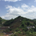 宅基地-农房出租