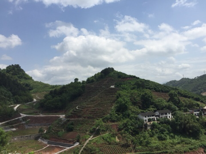 宅基地-农房出租