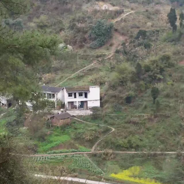 宅基地-农房出租