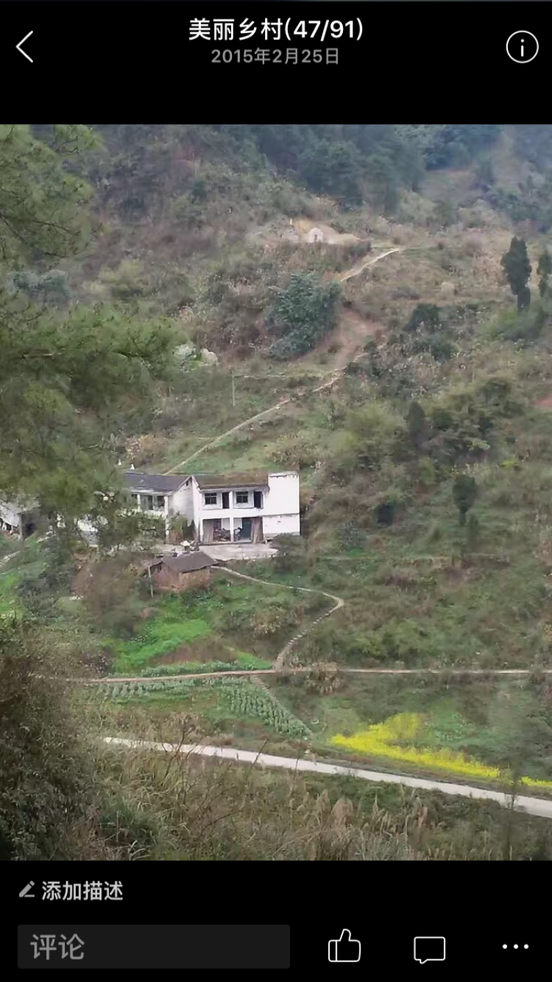宅基地-农房出租