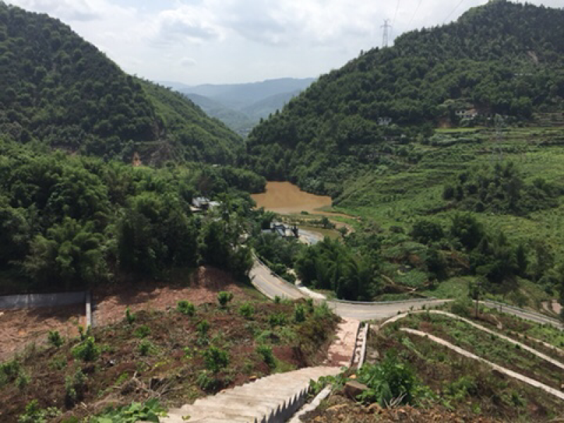宅基地-农房出租