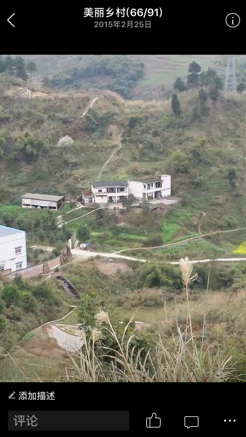 宅基地-农房出租