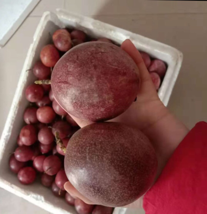百香果