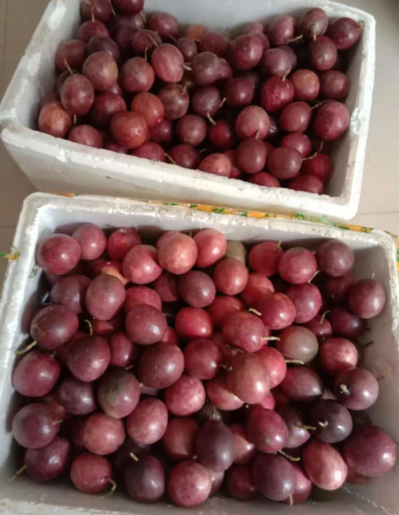 百香果