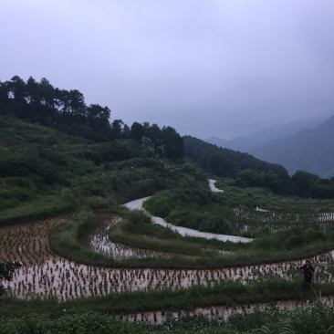 宅基地-农房出租