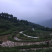 宅基地-农房出租
