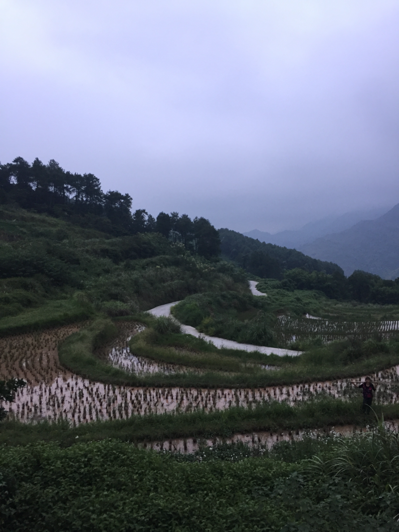宅基地-农房出租