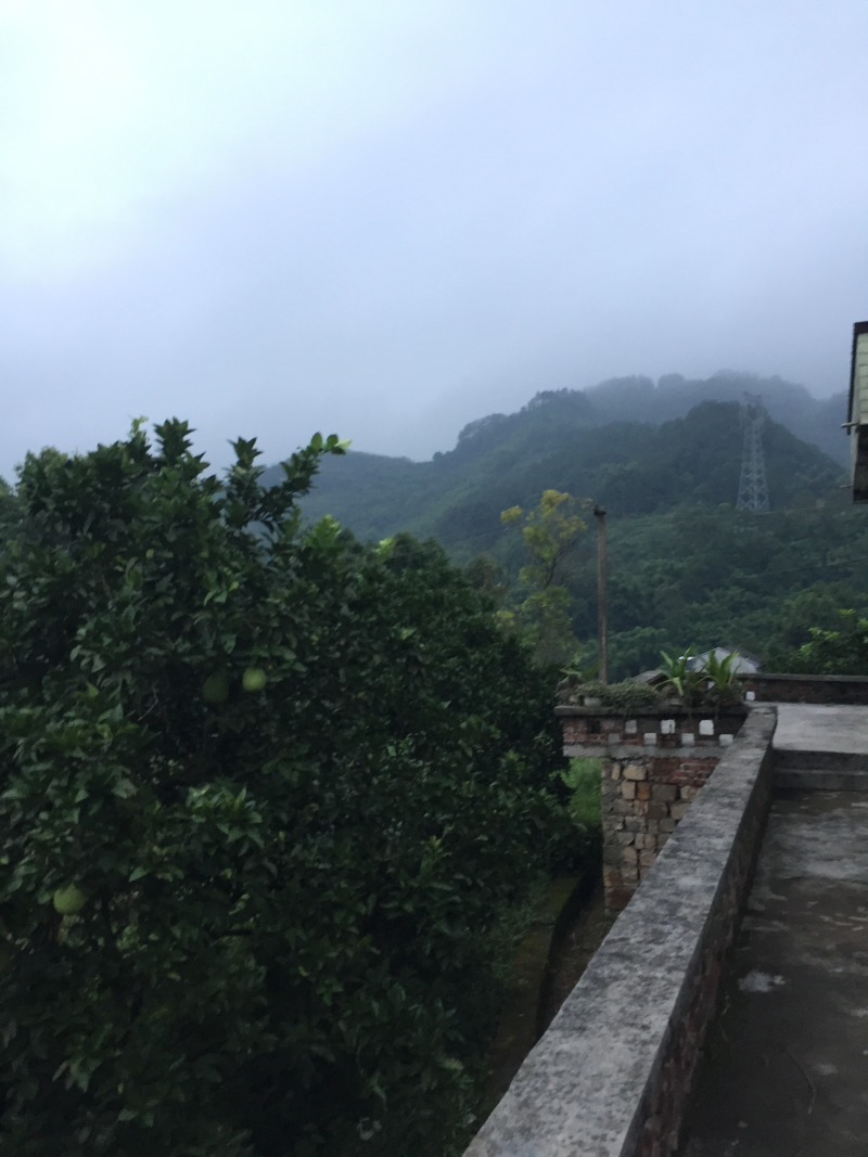 宅基地-农房出租