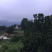 宅基地-农房出租