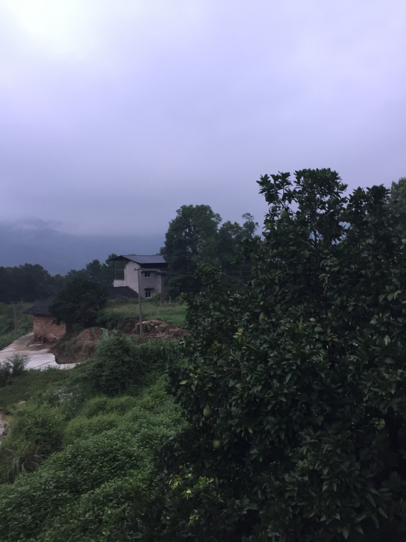 宅基地-农房出租