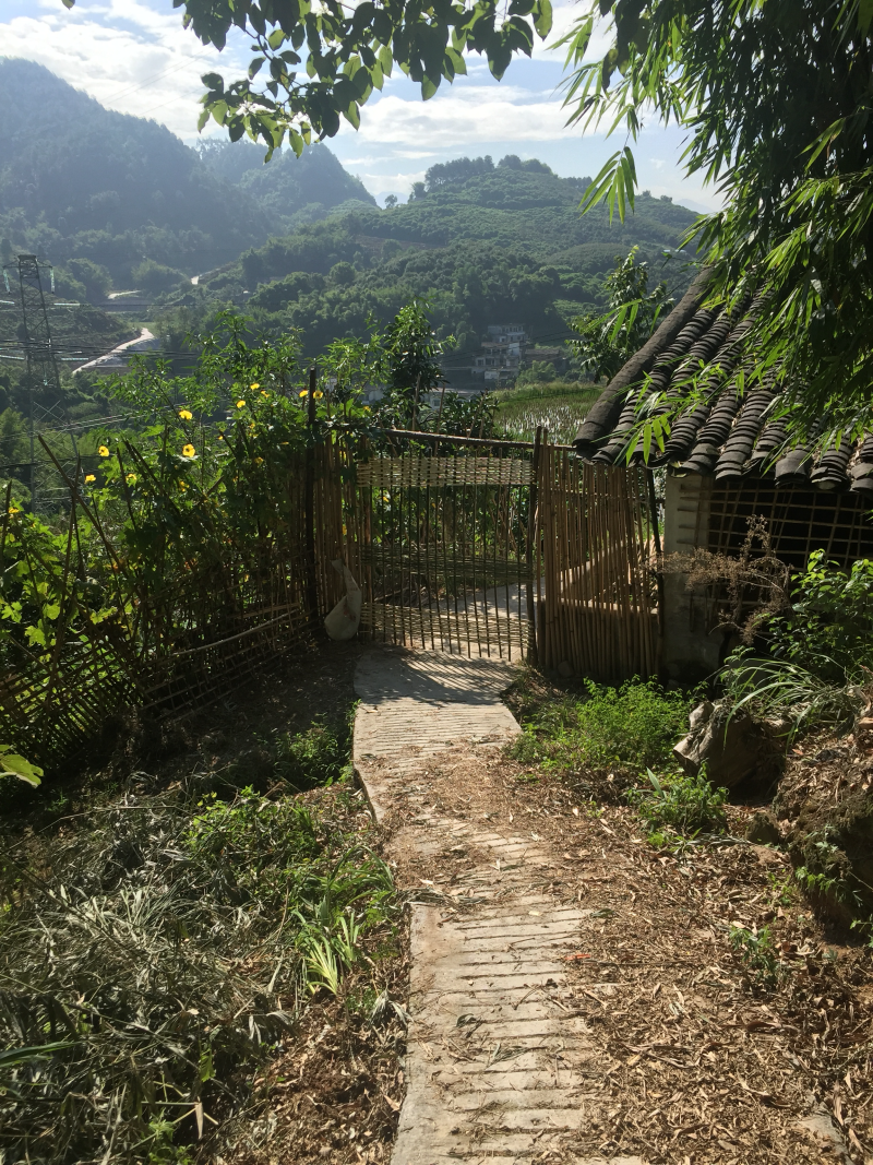 宅基地-农房出租
