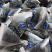蓝莓干野生长白山蓝莓果真品假一赔十正宗长白山蓝莓