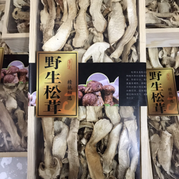 长白山野生松茸干片
